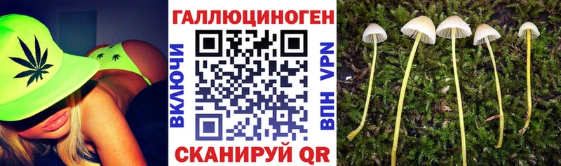 Псилоцибиновые грибы Magic Shrooms  Волосово 