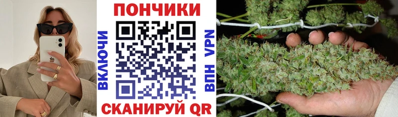 Шишки марихуана тримм цены наркотик Волосово